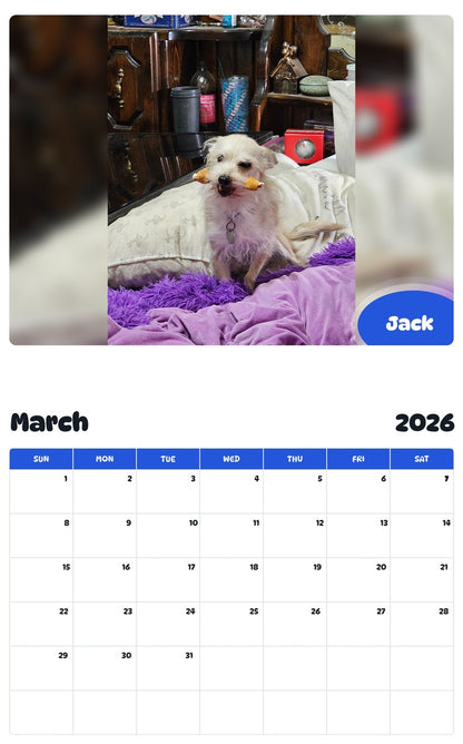 November 2025 - October 2026 Jack - Pawidols Pet Calendar