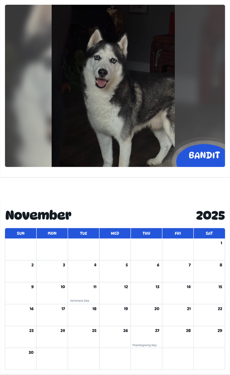 July 2025 - June 2026 Bandit - Pawidols Pet Calendar
