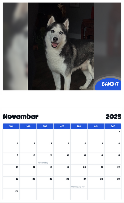 July 2025 - June 2026 Bandit - Pawidols Pet Calendar