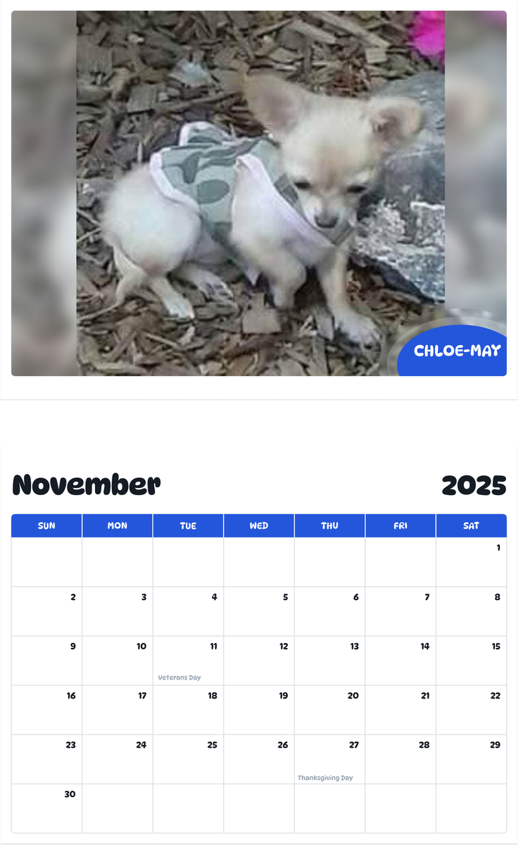July 2025 - June 2026 Chloe-May - Pawidols Pet Calendar