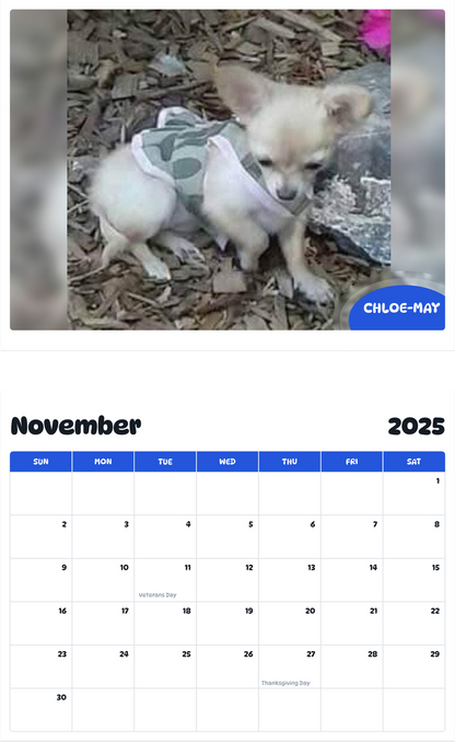 July 2025 - June 2026 Chloe-May - Pawidols Pet Calendar