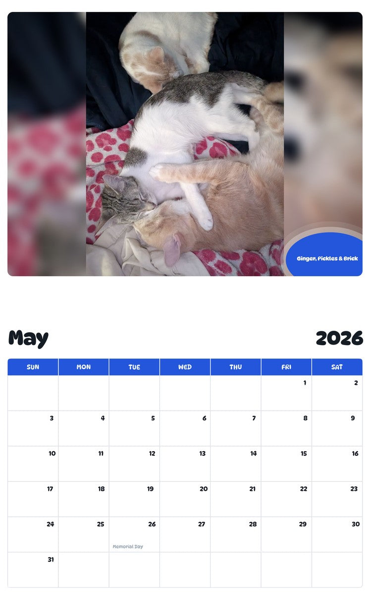 2026 - 2027 Ginger, Pickles & Brick - Pawidols Pet Calendar