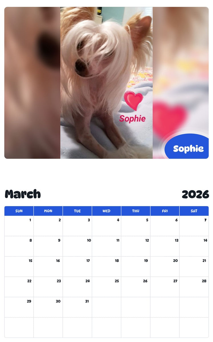 November 2025 - October 2026 Sophie - Pawidols Pet Calendar
