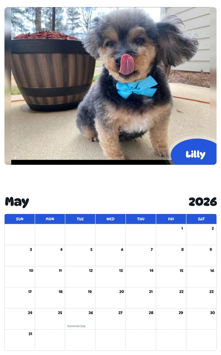 2026 - 2027 Lilly - Pawidols Pet Calendar