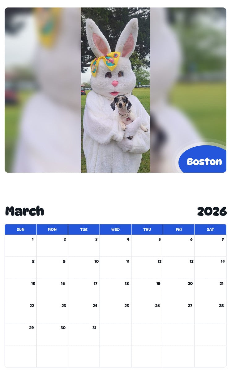 November 2025 - October 2026 Boston - Pawidols Pet Calendar