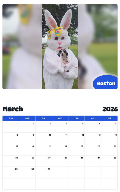 November 2025 - October 2026 Boston - Pawidols Pet Calendar