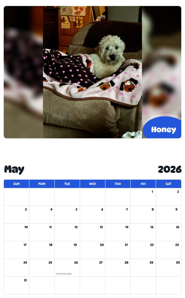 2026 - 2027 Honey - Pawidols Pet Calendar