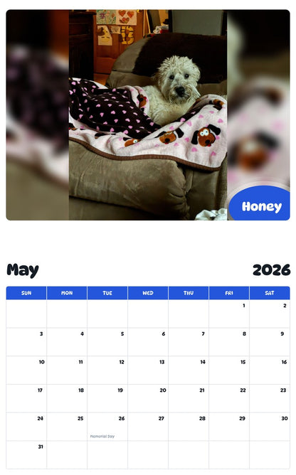 2026 - 2027 Honey - Pawidols Pet Calendar