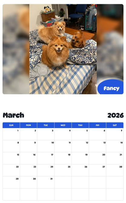 November 2025 - October 2026 Fancy - Pawidols Pet Calendar
