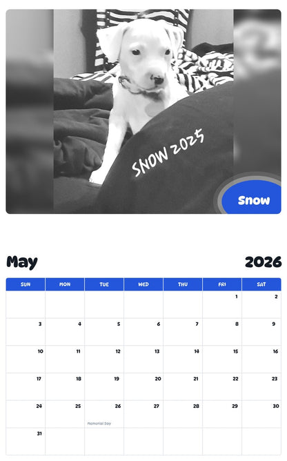 2026 - 2027 Snow - Pawidols Pet Calendar