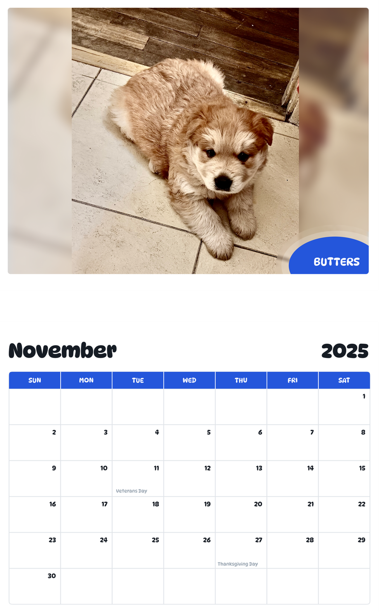 July 2025 - June 2026 Butters - Pawidols Pet Calendar