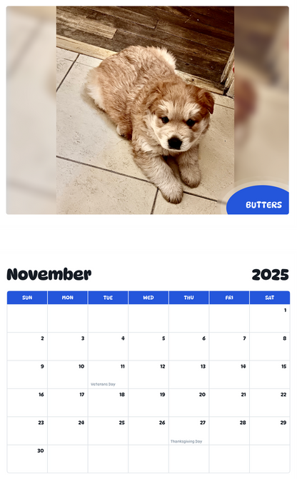 July 2025 - June 2026 Butters - Pawidols Pet Calendar