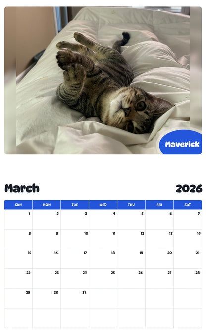 November 2025 - October 2026 Maverick - Pawidols Pet Calendar