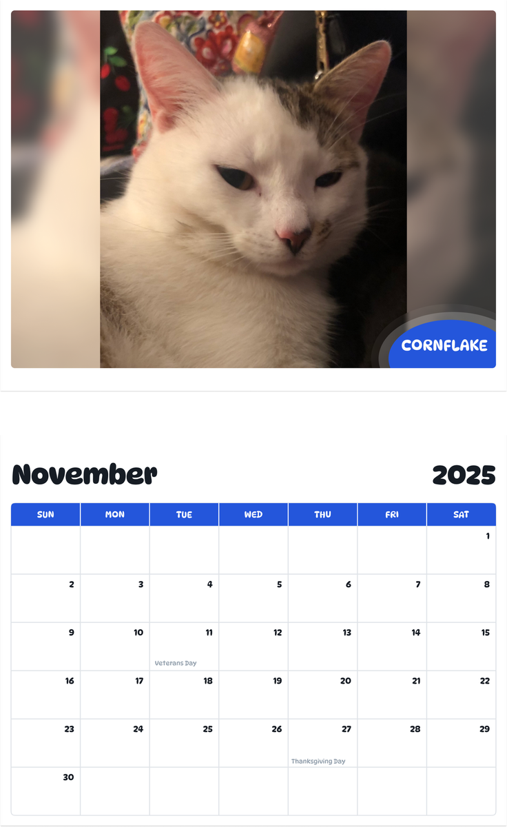 July 2025 - June 2026 CornFlake - Pawidols Pet Calendar