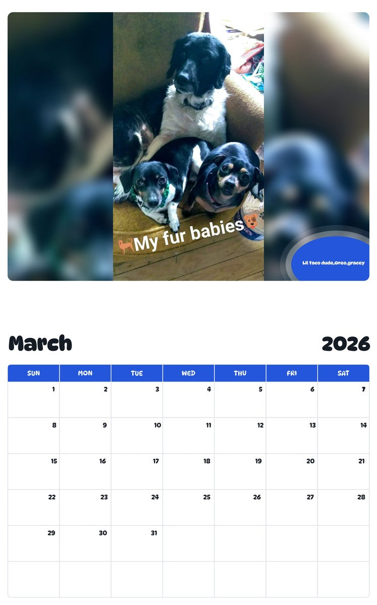 November 2025 - October 2026 Lil taco dude,Oreo,gracey - Pawidols Pet Calendar