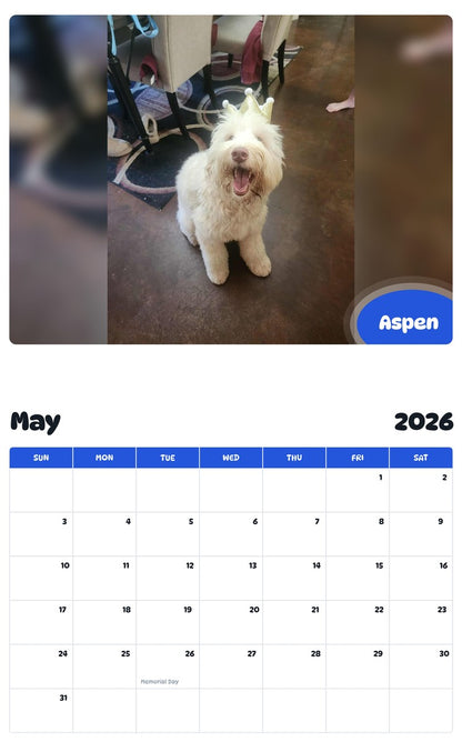 2026 - 2027 Aspen - Pawidols Pet Calendar