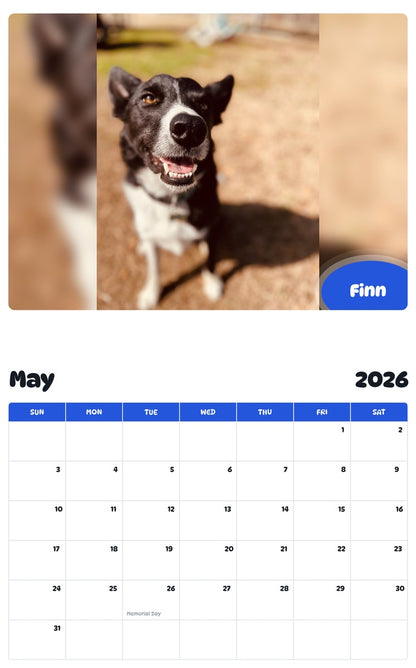 2026 - 2027 Finn - Pawidols Pet Calendar