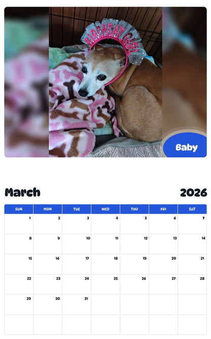 November 2025 - October 2026 Baby - Pawidols Pet Calendar