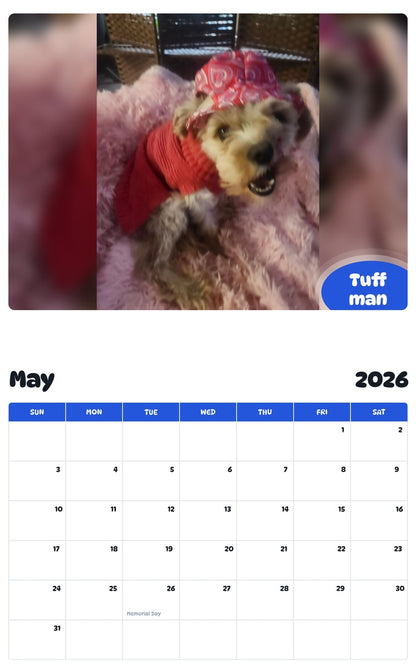 2026 - 2027 Tuff man - Pawidols Pet Calendar