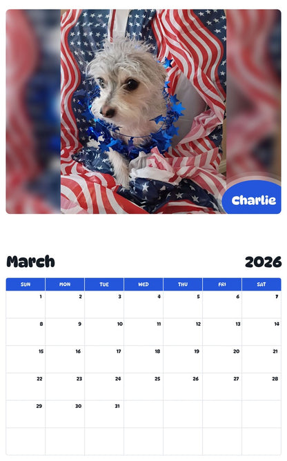November 2025 - October 2026 Charlie - Pawidols Pet Calendar