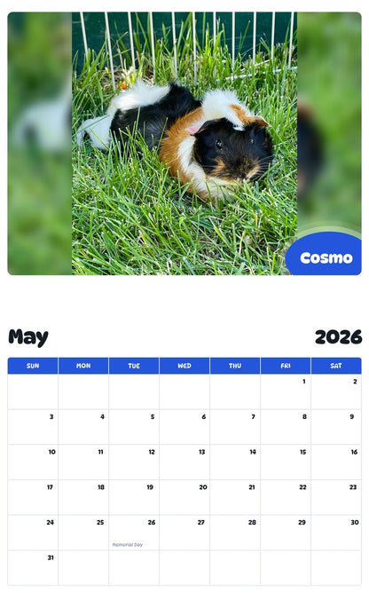 2026 - 2027 Cosmo - Pawidols Pet Calendar