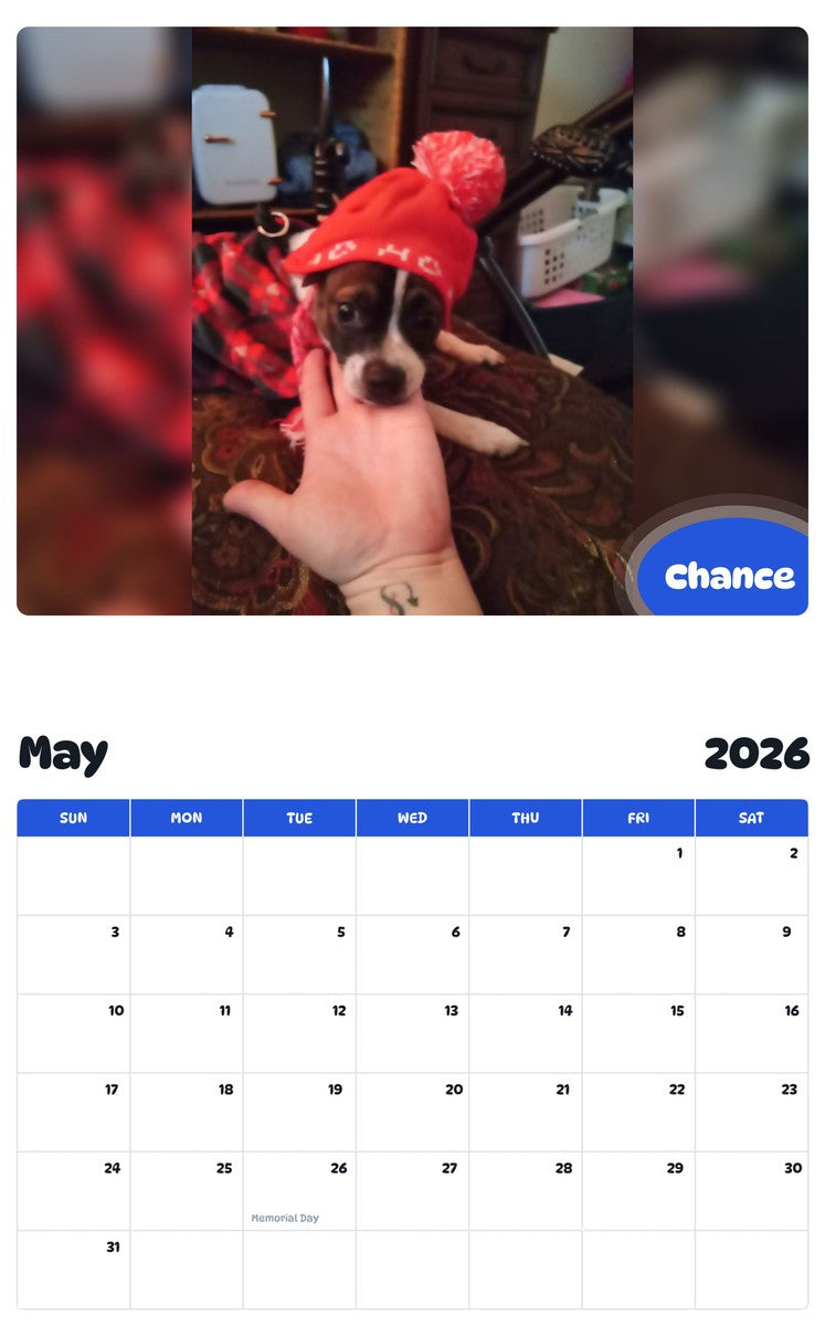 2026 - 2027 Chance - Pawidols Pet Calendar