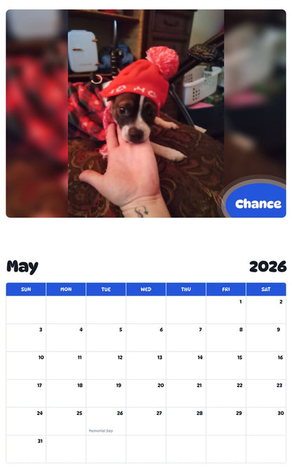 2026 - 2027 Chance - Pawidols Pet Calendar