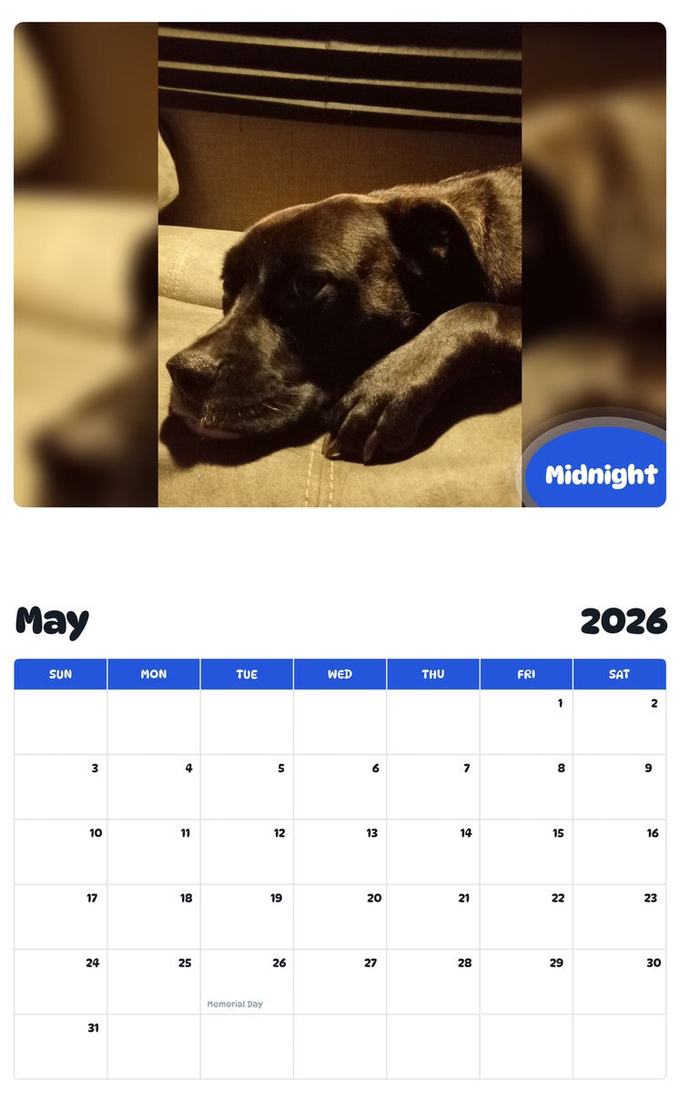 2026 - 2027 Midnight - Pawidols Pet Calendar