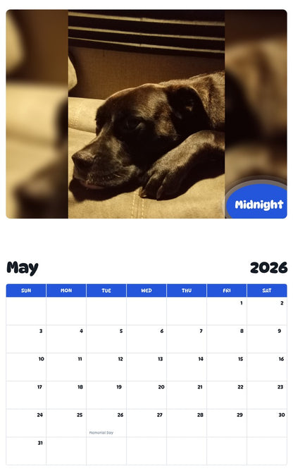 2026 - 2027 Midnight - Pawidols Pet Calendar