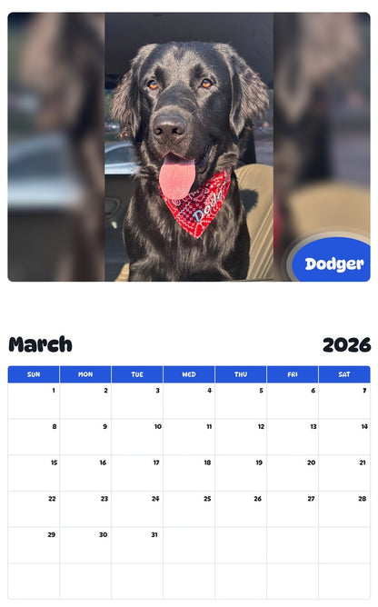 November 2025 - October 2026 Dodger - Pawidols Pet Calendar