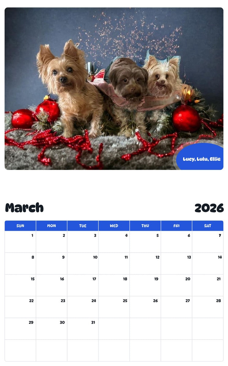 November 2025 - October 2026 Lucy, Lulu, Ellie - Pawidols Pet Calendar