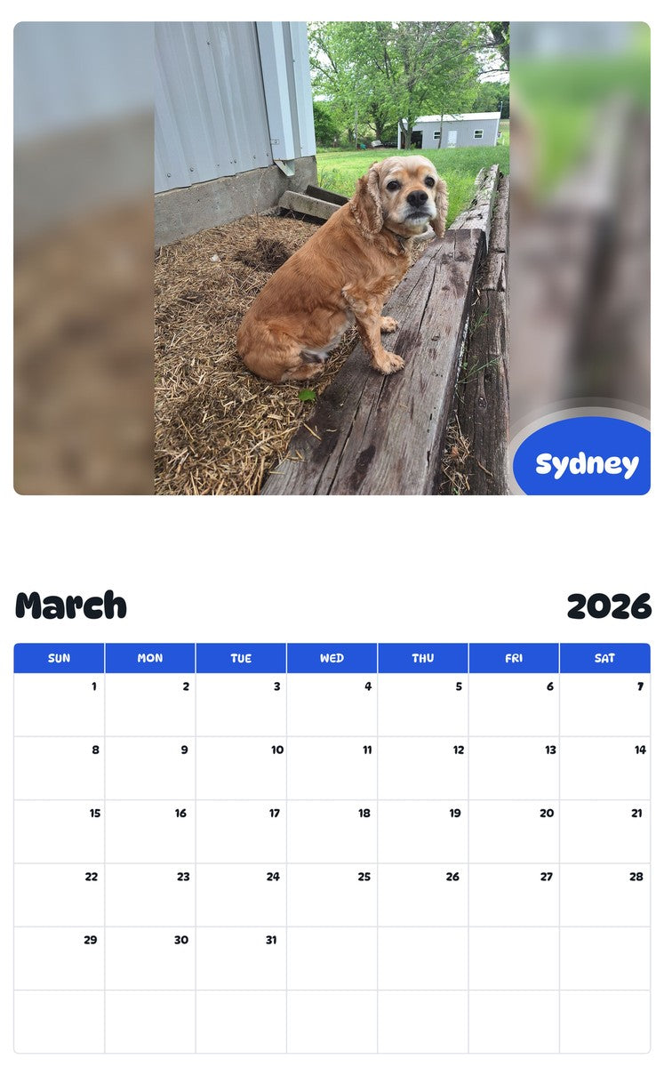 November 2025 - October 2026 Sydney - Pawidols Pet Calendar