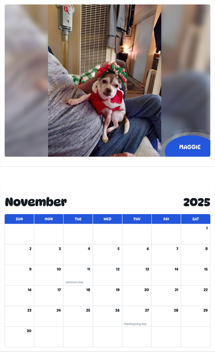 July 2025 - June 2026 Maggie - Pawidols Pet Calendar