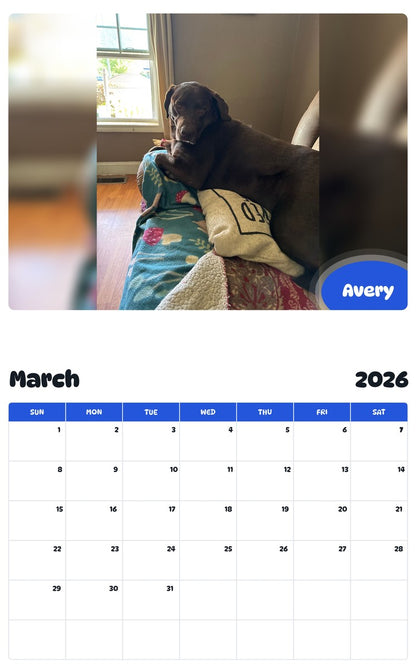 November 2025 - October 2026 Avery - Pawidols Pet Calendar
