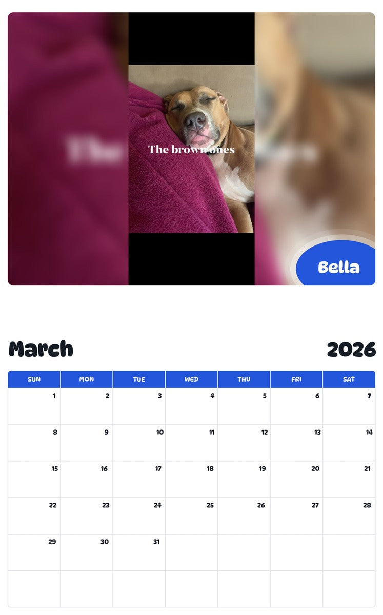 November 2025 - October 2026 Bella - Pawidols Pet Calendar