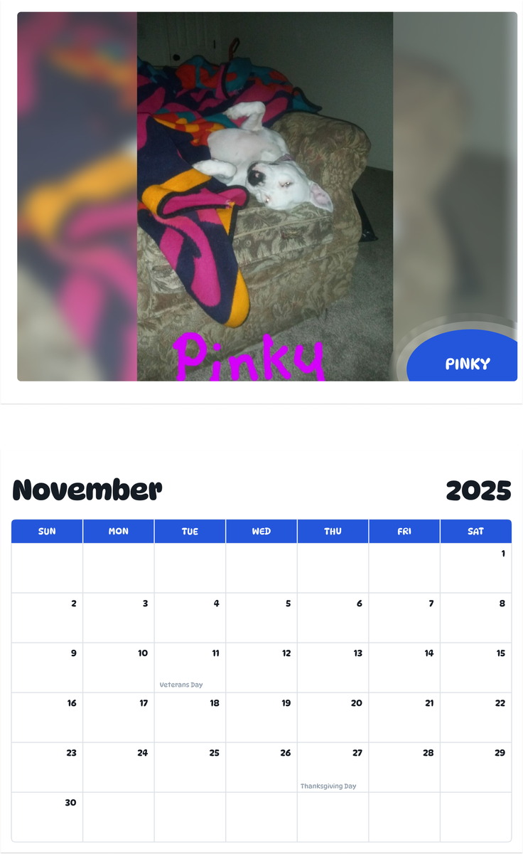 July 2025 - June 2026 Pinky - Pawidols Pet Calendar