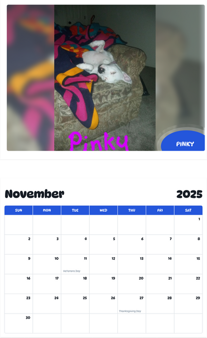 July 2025 - June 2026 Pinky - Pawidols Pet Calendar