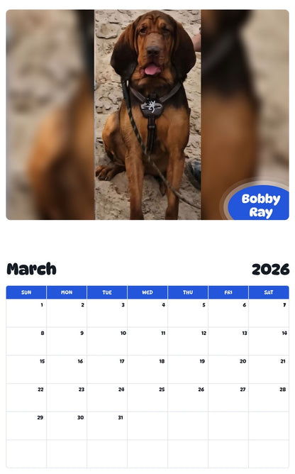 November 2025 - October 2026 Bobby Ray - Pawidols Pet Calendar