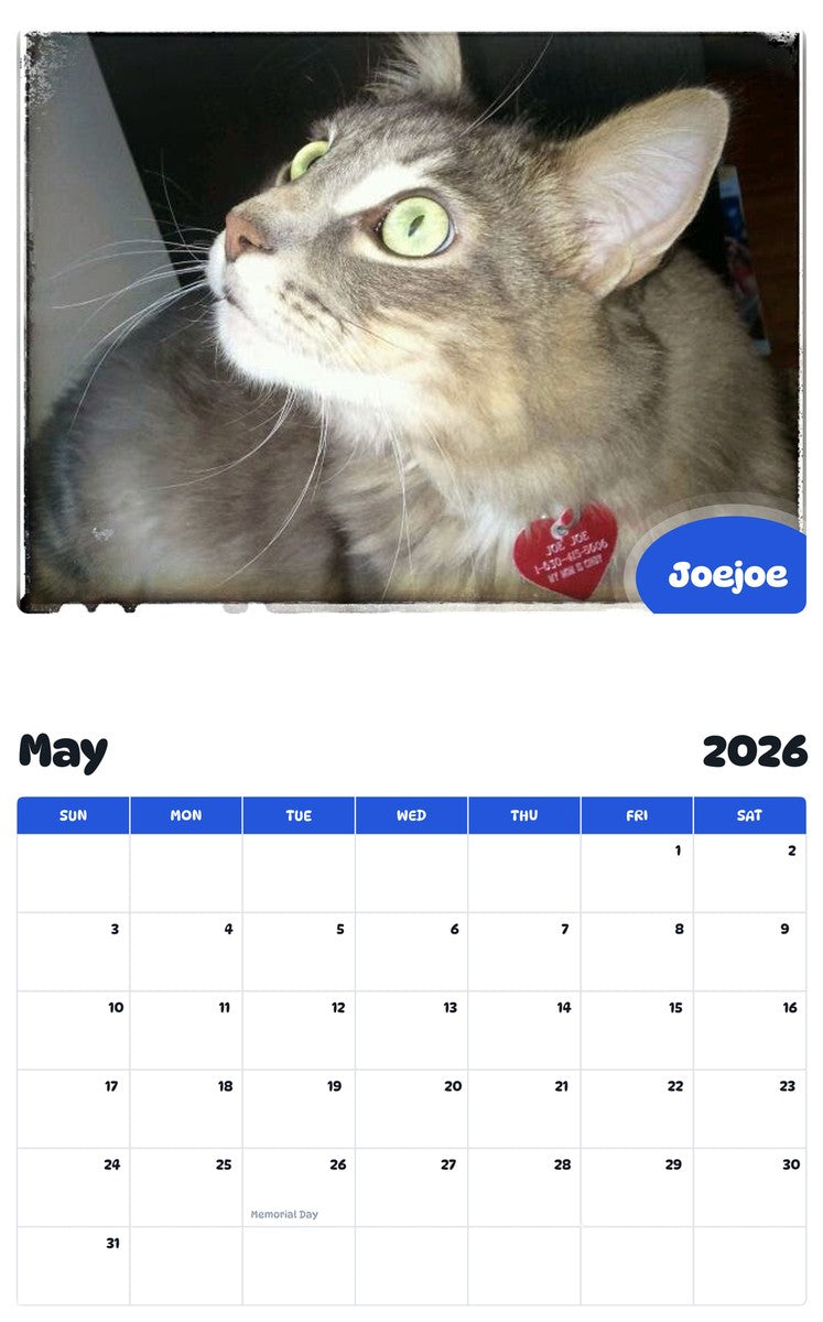 2026 - 2027 Joejoe - Pawidols Pet Calendar