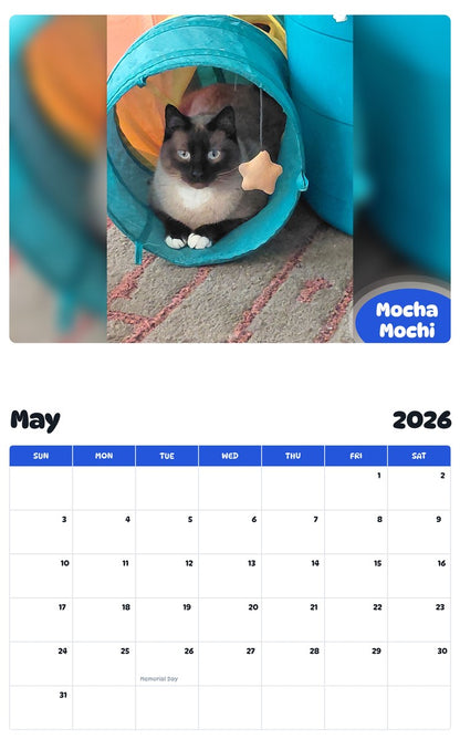 2026 - 2027 Mocha Mochi - Pawidols Pet Calendar