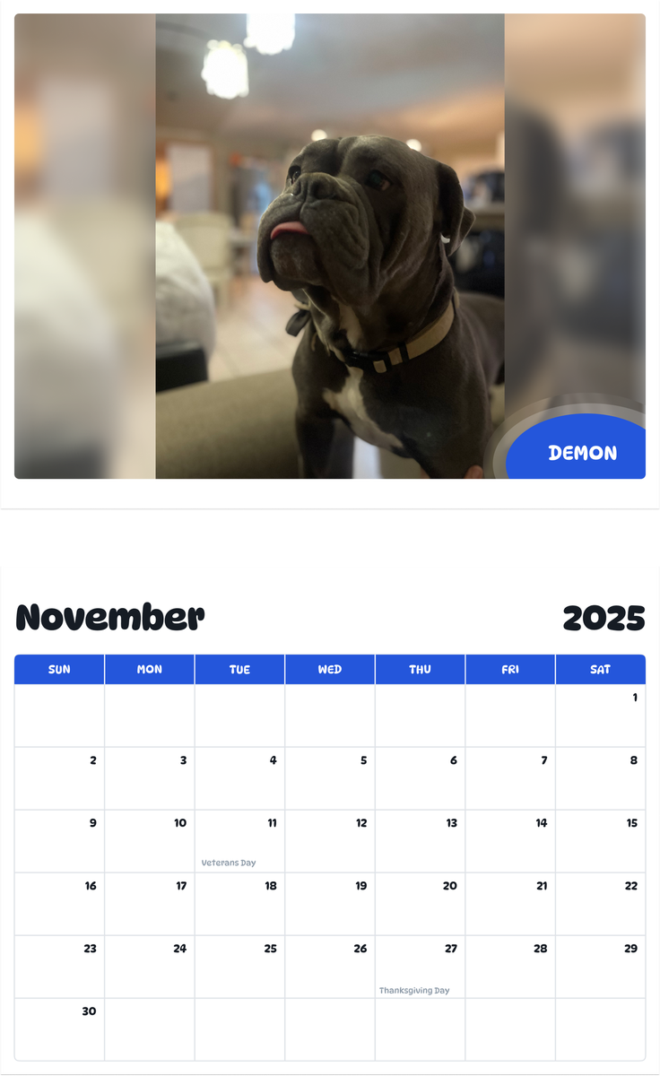 July 2025 - June 2026 Demon - Pawidols Pet Calendar