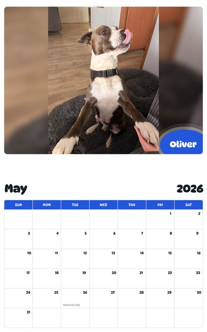 2026 - 2027 Oliver - Pawidols Pet Calendar