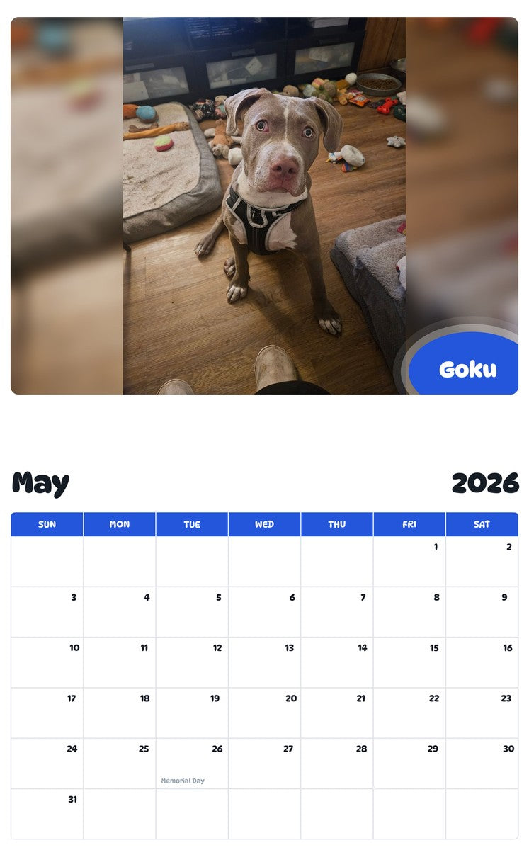 2026 - 2027 Goku - Pawidols Pet Calendar