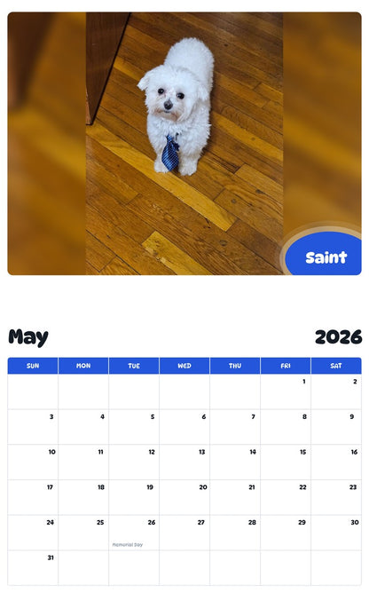 2026 - 2027 Saint - Pawidols Pet Calendar