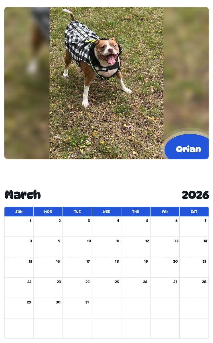 November 2025 - October 2026 Orian - Pawidols Pet Calendar