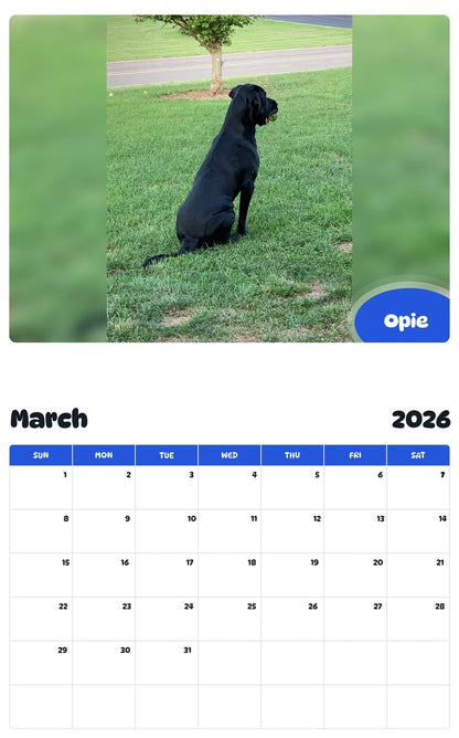 November 2025 - October 2026 Opie - Pawidols Pet Calendar