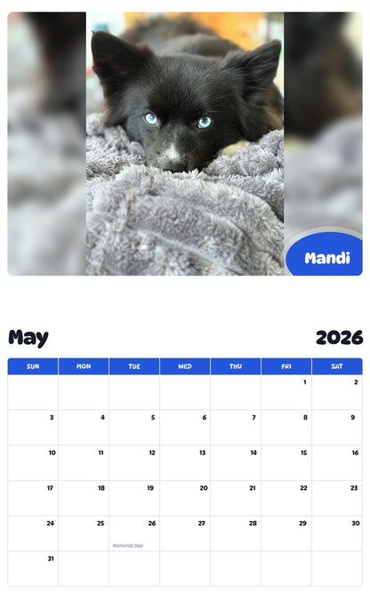 2026 - 2027 Mandi - Pawidols Pet Calendar