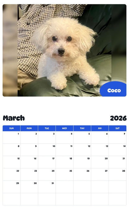 November 2025 - October 2026 Coco - Pawidols Pet Calendar