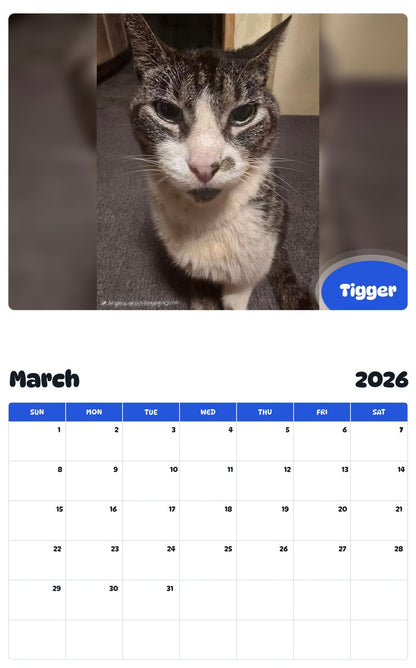 November 2025 - October 2026 Tigger - Pawidols Pet Calendar