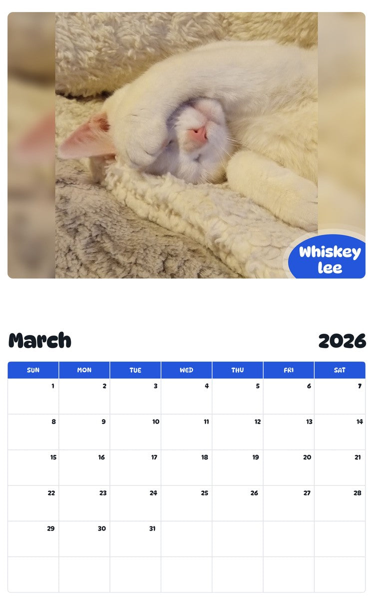 November 2025 - October 2026 Whiskey lee - Pawidols Pet Calendar